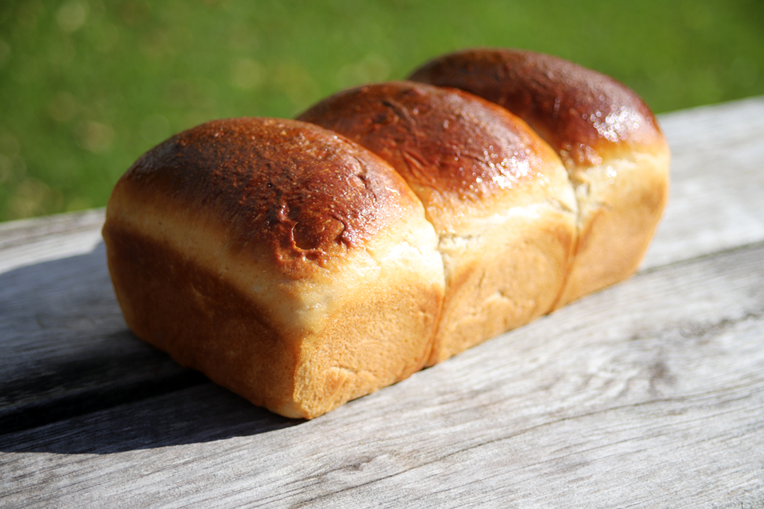 Recette de Pain de mie Shokupan à la farine intégrale biologique La Milanaise